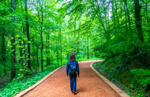 Ankara Valiliği duyurdu! Kentte ormanlık alana girişler yasaklandı