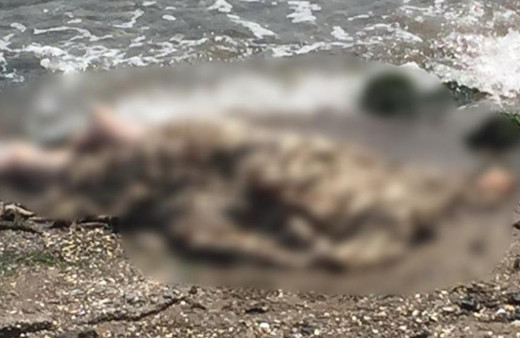 İzmir'de şoke eden olay! Deniz kenarında erkek cesedi bulundu