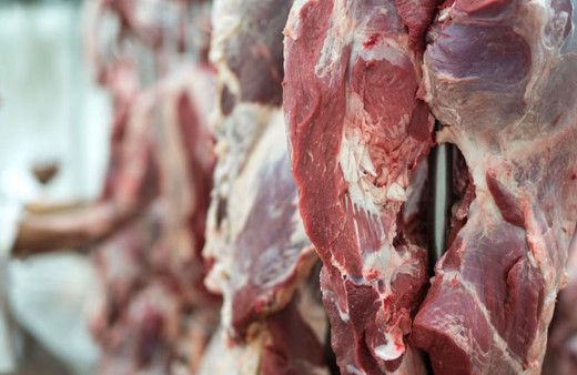 İran'da son 3 ayda Kırım Kongo kanamalı ateşinden 3 kişi öldü