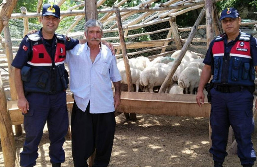 Mersin'de küçükbaş hayvan hırsızları tutuklandı