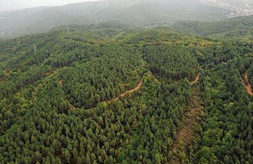 İkinci bir emre kadar giriş yasak! Kaymakamlık duyurdu!