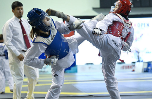 10. Uluslararası Türkiye Açık Taekwondo Turnuvası, Ankara'da başladı
