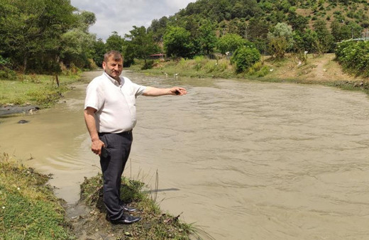 Alibey Barajı'na akan derede korkutan görüntü: Onlarca balık telef olarak kıyıya vurdu