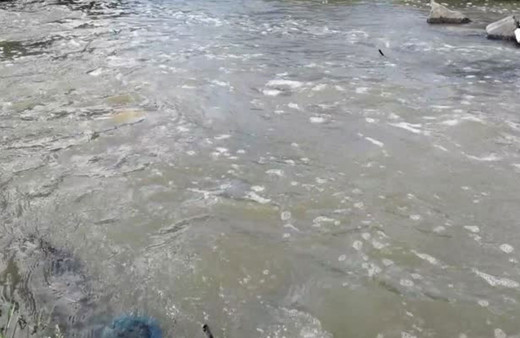 İstanbul Alibey Deresi'ndeki kirlilik ve kötü kokuya vatandaşlar tepki gösterdi