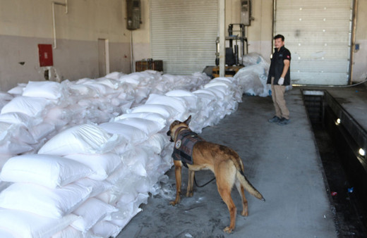 Tuz çuvallarının içinden uyuşturucu çıktı! Gümrükte yakalandı!