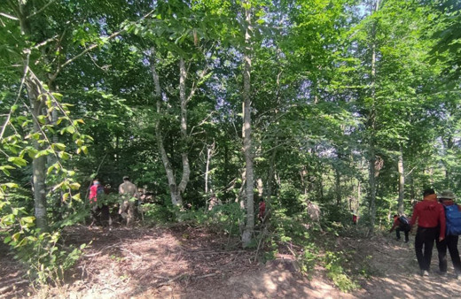 23 gün oldu! Ünlü ekonomist Korhan Berzeg bulundu mu?