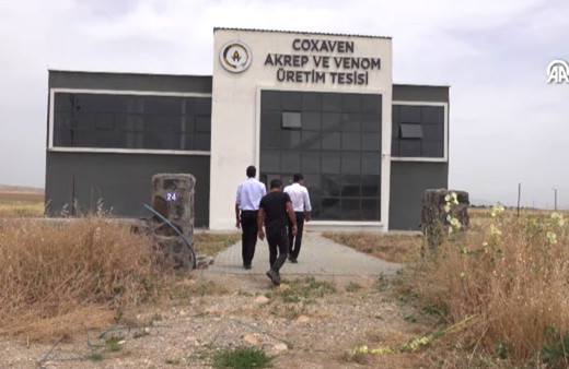 Şırnaklı girişimci, yaklaşık 3 bin akrebin bakımını yapıyor!