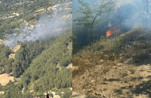 Adana'da ikinci orman yangını: Ekipler hem karadan hem de havadan müdahale ediyor!