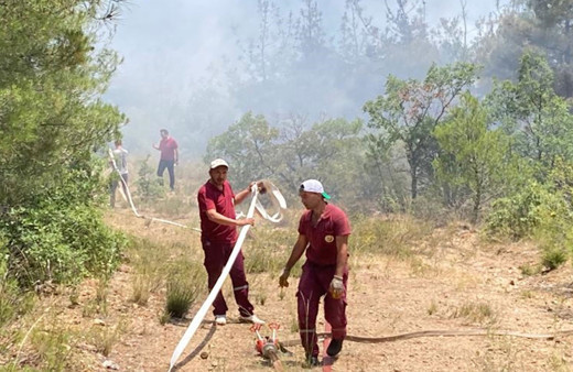 Eskişehir'de orman yangını çıktı!