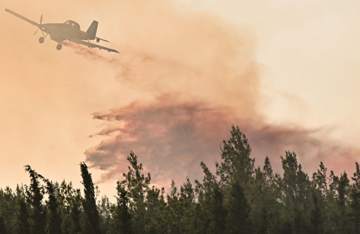 İzmir'deki orman yangını 11 saatte kontrol altına alındı! Biri ağır 12 ormancı yaralandı
