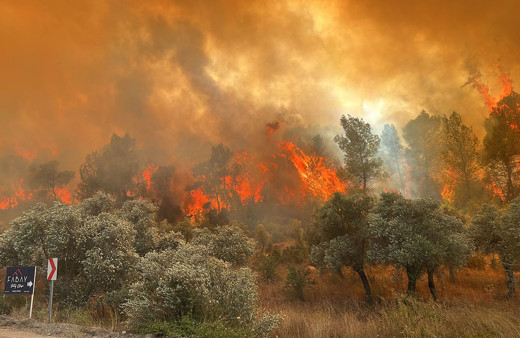 Antalya, Muğla'da ve Adana'da ormanlar yanıyor! Mahalle boşaltıldı araç giriş çıkışı yasaklandı