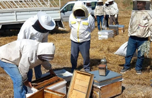Malatya'da depremzede üreticilere 1305 arılı kovan dağıtıldı!