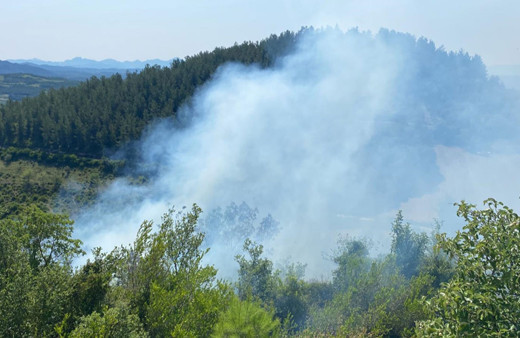 Osmaniye'de çıkan orman yangını kontrol altına alındı!