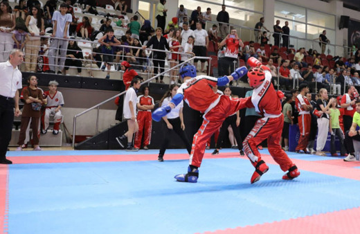 Türkiye Kick Boks Şampiyonası Mardin'de sona erdi