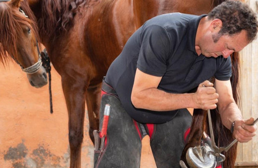 Türkiye Jokey Kulübü, iş garantili nalbantlık kursu açıyor!