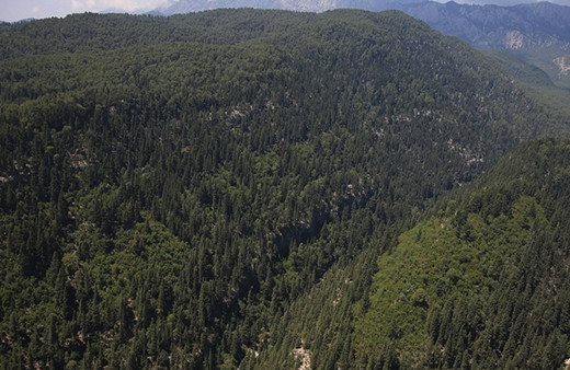15 Ekim'e kadar yasaklandı! Açıklama yapıldı