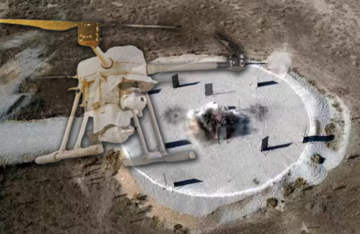 Türkiye'nin yeni hayaleti! Boyga sessizce yaklaşıp, nokta hassasiyetiyle vuruyor!