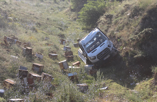 Kastamonu'da arı yüklü kamyonet devrildi!