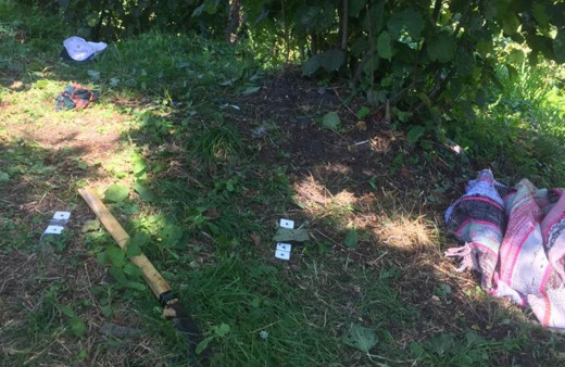 Miras kavgasında 2 kardeşini öldürdü tapu kadastro görevlisi ve yeğeni de ağır yaralı