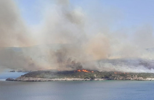 İzmir'de makilik alanda yangın çıktı!
