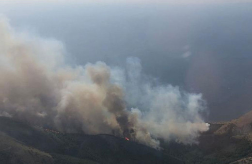 Gökçeada'da çıkan orman yangınına müdahale ediliyor
