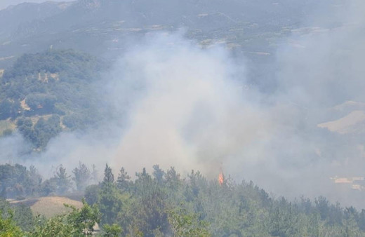 Osmaniye'de orman yangını çıktı!