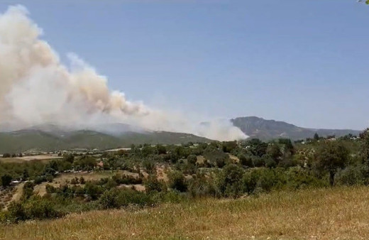 Osmaniye’deki orman yangını büyüdü, müdahale sürüyor!