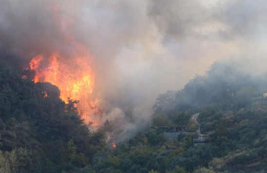 Orman yangınlarına neden oldukları gerekçesiyle 7 şüpheli gözaltına alındı!