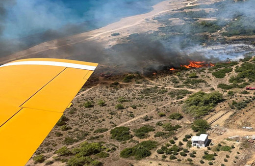 Manavgat'ta orman yangını çıktı! İhmal iddiası ifadeleri alınacak