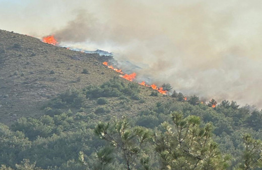 Gökçeada'daki orman yangını 16 saat sonra kontrol altına alındı