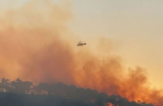 Hatay'da çıkan yangınla ilgili 1 kişi tutuklandı