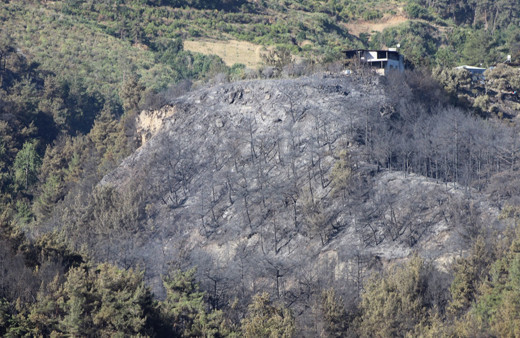 Hatay'da dün çıkan orman yangınına müdahale sürüyor!