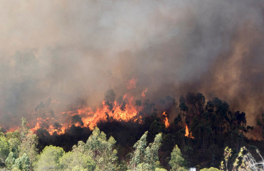 Mersin'de yeni orman yangını çıktı! Ekipler bölgede