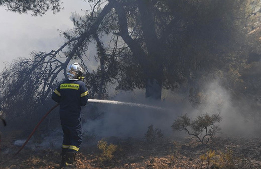 Yunanistan'da orman yangınları yerleşim birimlerini tehdit ediyor!