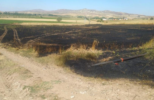 Sivas’ta tarla yangınında 50 dönüm ekili alan kül oldu!