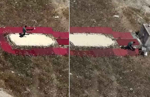 İstanbul'da dehşete düşüren görüntüler! Hayvana şiddet kamerada: Güvercini fırlatıp tekmeledi