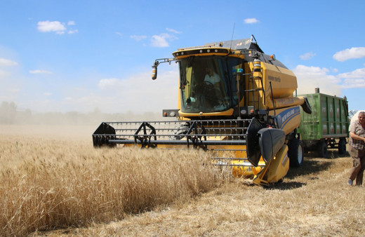 Malatya'da liseli çiftçiler tarımı toprakla iç içe öğreniyor