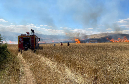 Tokat'ta yangın sonucu 20 dönüm buğday ekili alan zarar gördü!