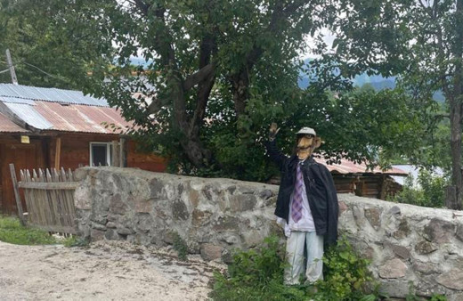 Artivin'de her akşam ormandan geliyorlar köylüler korku içinde