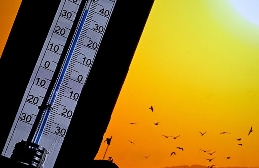 Türkiye'de sıcaklık rekoru Hatay'da kırıldı: 50 derece