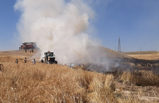 Eskişehir'de 30 dönüm arpa ekili alan yandı