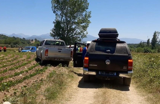 Kahramanmaraş korkunç olay: Kayıp yaşlı kadın mısır tarlasında ölü olarak bulundu