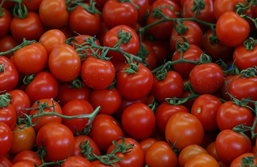 Muğla'da tarımsal üretim ve ihracatından elde edilen gelir arttı