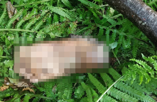 Artvin'de kan donduran anons! 'Ayak parçası bulundu, yakını kaybolanlar gelsin'