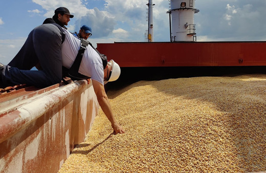 Rusya: Tahıl anlaşmasına alternatif konusunda temaslar yürütmüyoruz