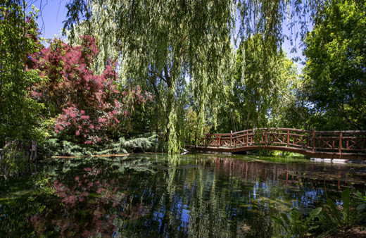Sanki cennet bahçesi! Atatürk Üniversitesinin botanik bahçesi sezonda yaklaşık 15 bin ziyaretçi ağırlıyor