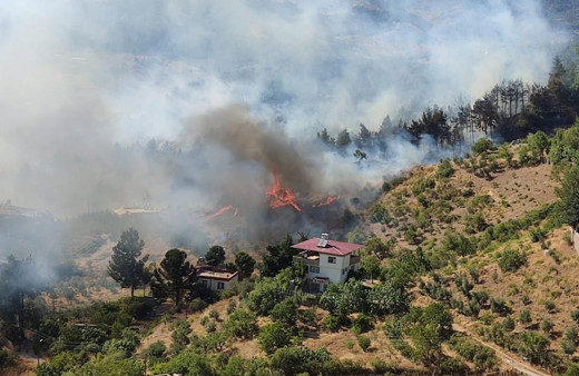 Kahramanmaraş'ta korkutan orman yangını! Rüzgarın etkisiyle yayıldı, alevler evlere sıçradı!