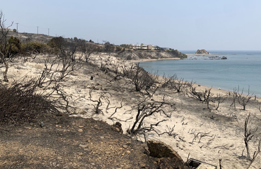 Rodos Adası 6 gündür yanyor! 19 bin kişi tahliye edildi!