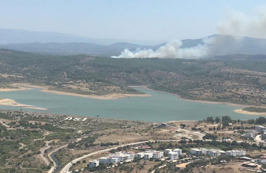 Milas'ta orman yangını çıktı! Hava ve kara araçları sevk edildi