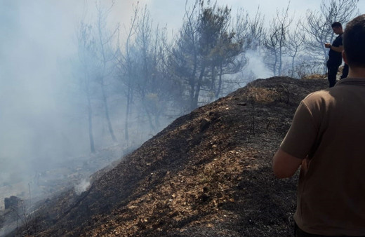 İzmir'in iki ilçesinde ve Hatay'da orman yangını çıktı! Helikopterler, uçaklar bölgeye gönderildi